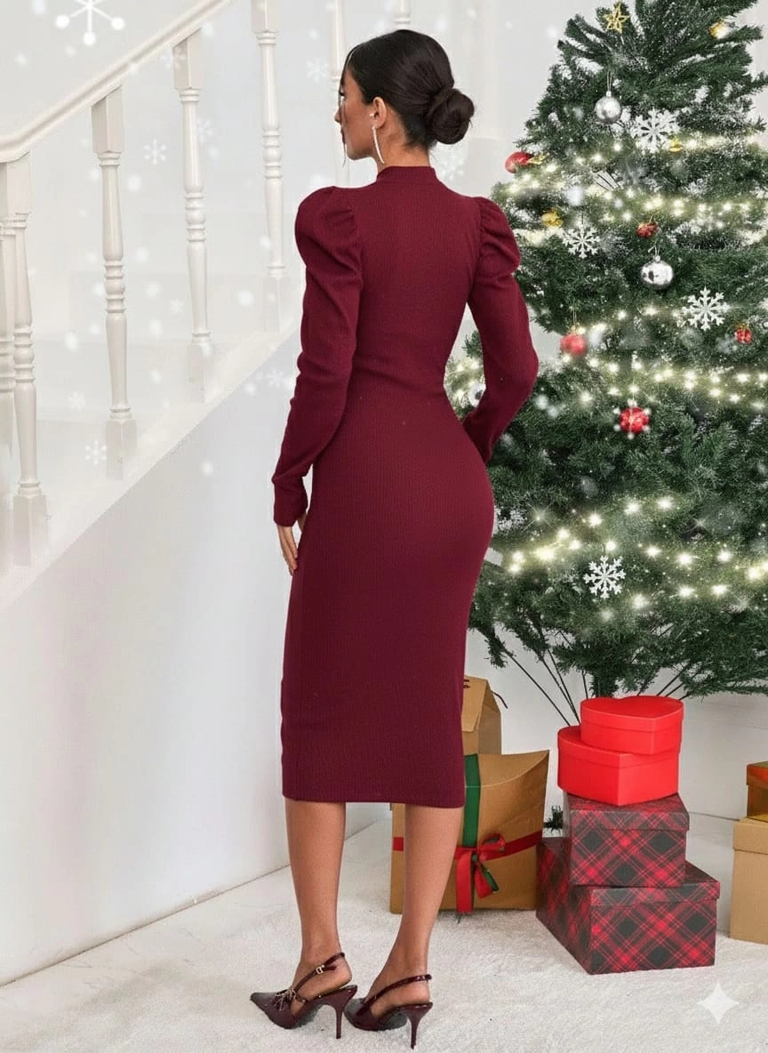 Prenses Kol Yarım Boğaz Kışlık Elbise - 0148